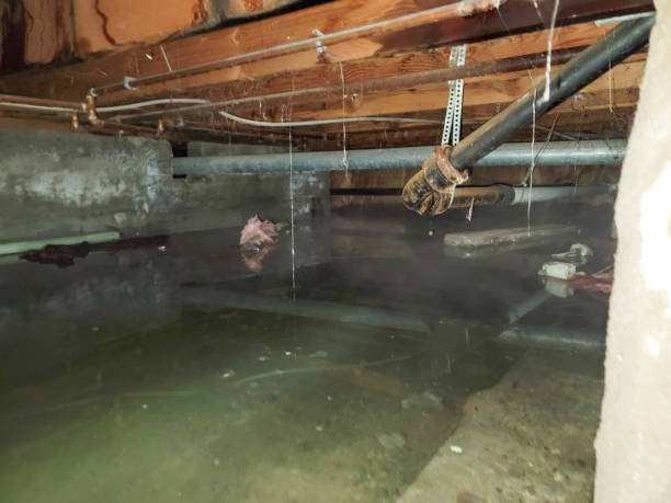 Best Water damage restoration insurance claims  in Hayti, PA