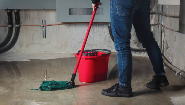 Trusted Hayti, PA Water damage restoration Experts